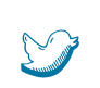 What do we mean by Socially Savvy?